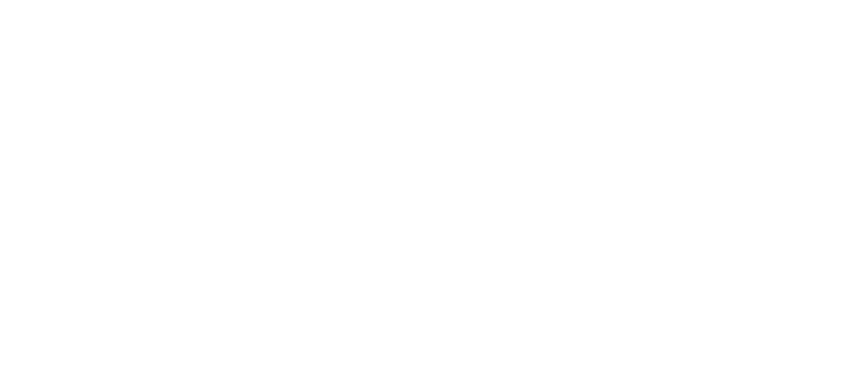 Ticket Owl